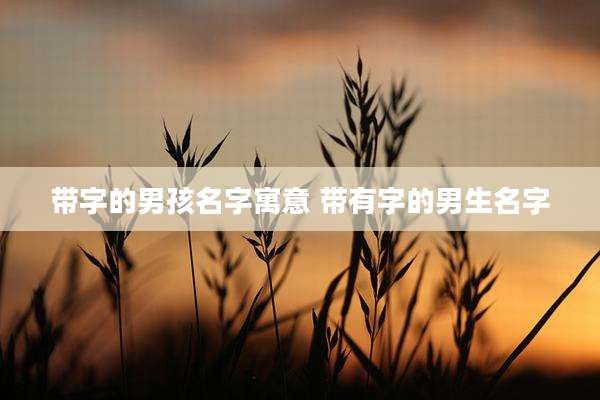 带字的男孩名字寓意 带有字的男生名字