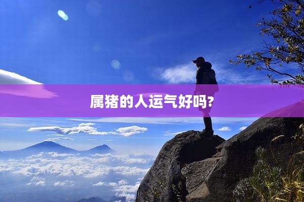 属猪的人运气好吗?
