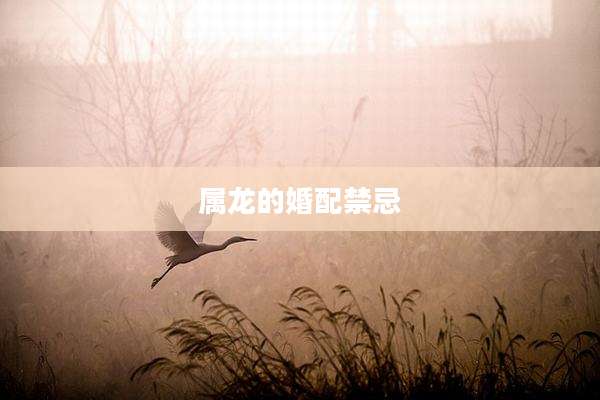 属龙的婚配禁忌