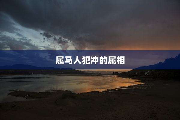 属马人犯冲的属相