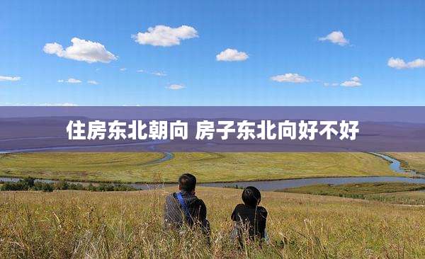 住房东北朝向 房子东北向好不好