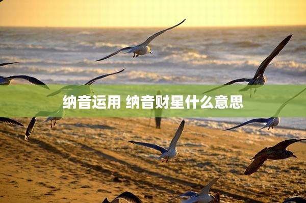 纳音运用 纳音财星什么意思