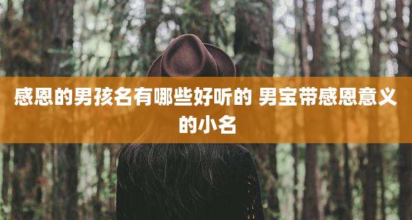 感恩的男孩名有哪些好听的 男宝带感恩意义的小名
