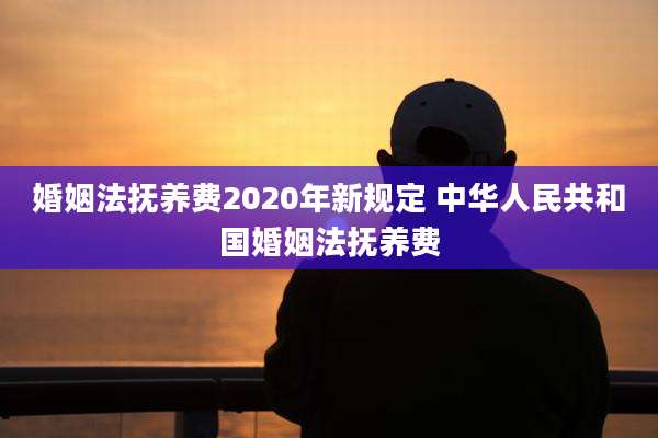 婚姻法抚养费2020年新规定 中华人民共和国婚姻法抚养费