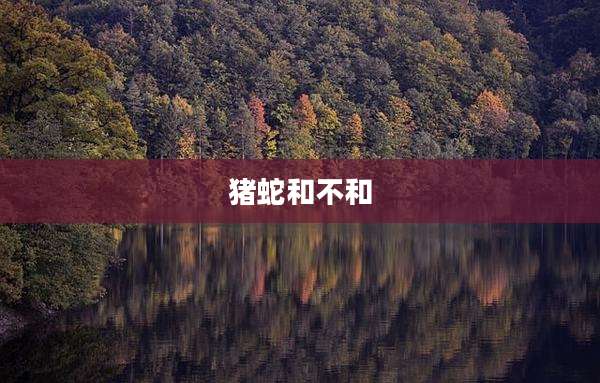 猪蛇和不和