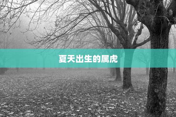 夏天出生的属虎