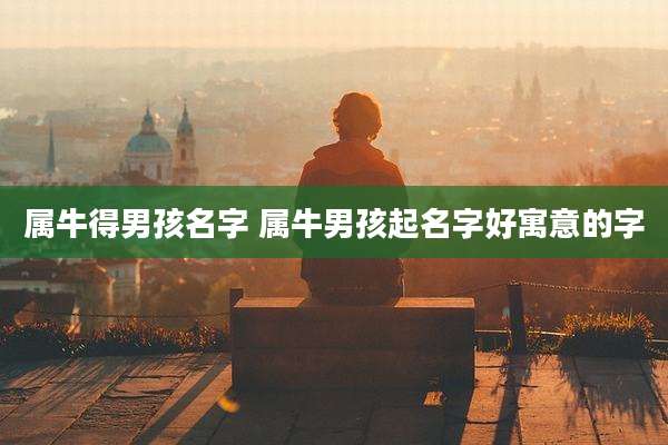 属牛得男孩名字 属牛男孩起名字好寓意的字