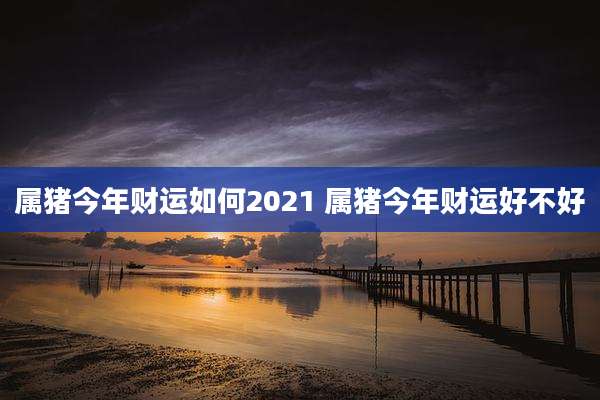 属猪今年财运如何2021 属猪今年财运好不好