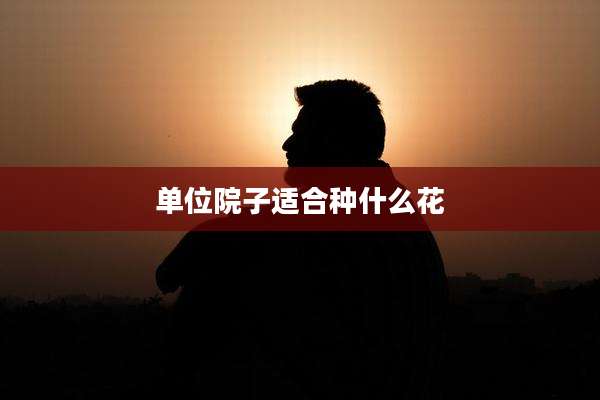 单位院子适合种什么花