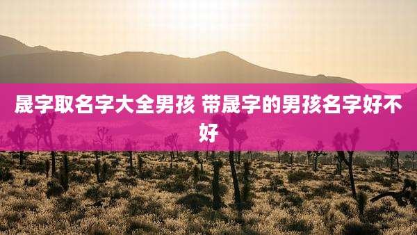 晟字取名字大全男孩 带晟字的男孩名字好不好
