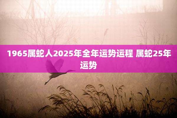 1965属蛇人2025年全年运势运程 属蛇25年运势