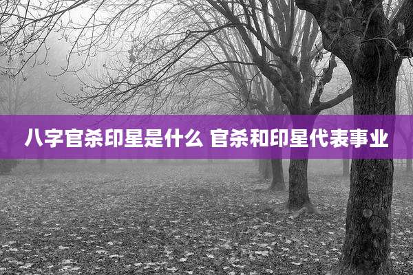 八字官杀印星是什么 官杀和印星代表事业