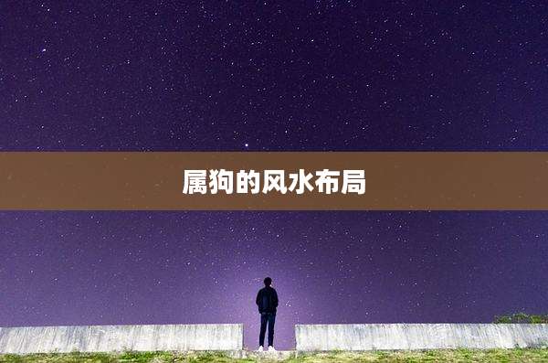 属狗的风水布局