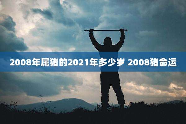 2008年属猪的2021年多少岁 2008猪命运
