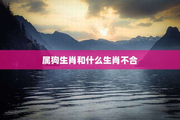 属狗生肖和什么生肖不合