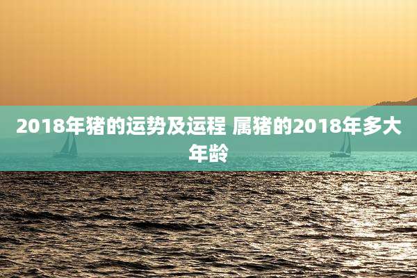 2018年猪的运势及运程 属猪的2018年多大年龄