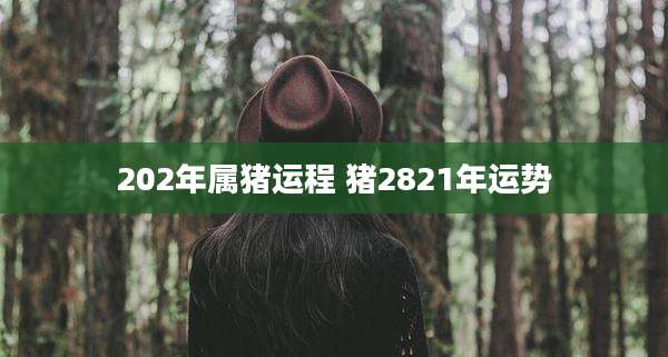 202年属猪运程 猪2821年运势