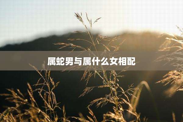 属蛇男与属什么女相配