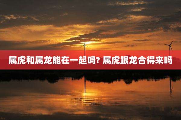 属虎和属龙能在一起吗? 属虎跟龙合得来吗