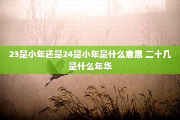 23是小年还是24是小年是什么意思 二十几是什么年华