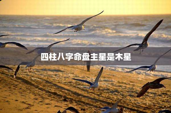 四柱八字命盘主星是木星