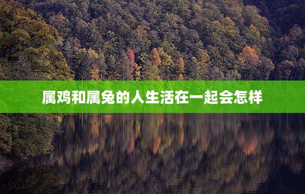 属鸡和属兔的人生活在一起会怎样