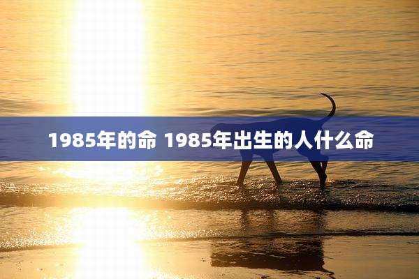 1985年的命 1985年出生的人什么命