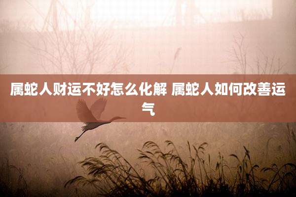 属蛇人财运不好怎么化解 属蛇人如何改善运气