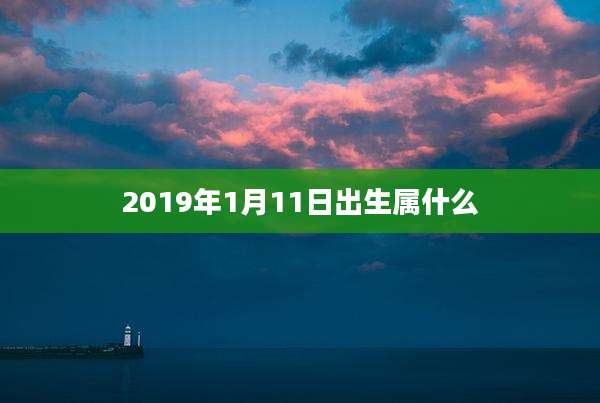 2019年1月11日出生属什么