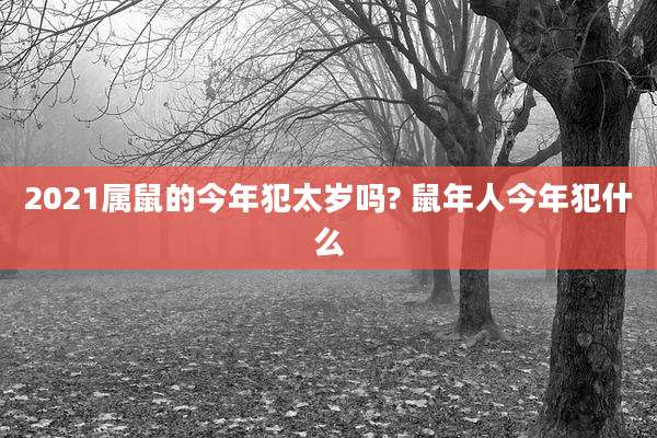 2021属鼠的今年犯太岁吗? 鼠年人今年犯什么