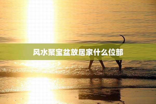风水聚宝盆放居家什么位部