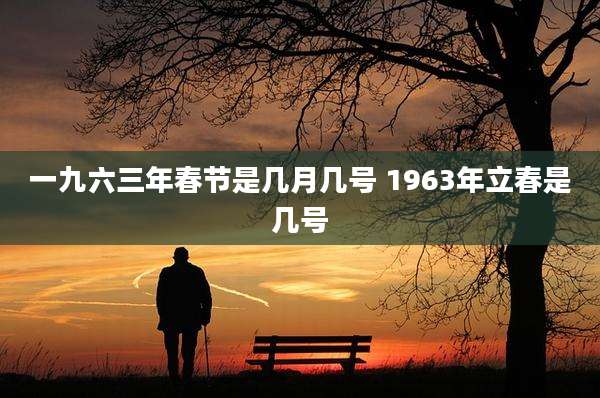 一九六三年春节是几月几号 1963年立春是几号