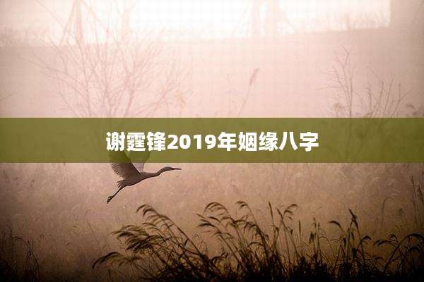 谢霆锋2019年姻缘八字
