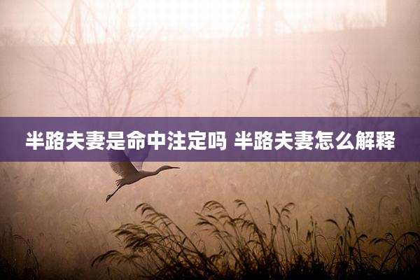 半路夫妻是命中注定吗 半路夫妻怎么解释
