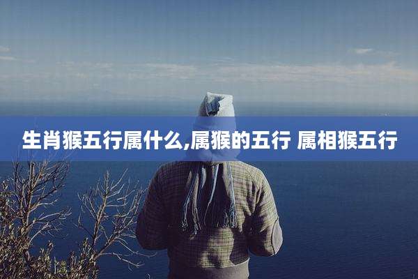 生肖猴五行属什么,属猴的五行 属相猴五行