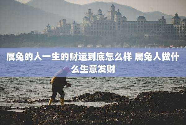 属兔的人一生的财运到底怎么样 属兔人做什么生意发财