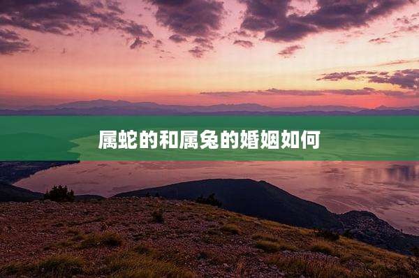 属蛇的和属兔的婚姻如何