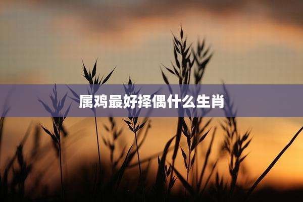属鸡最好择偶什么生肖