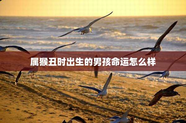 属猴丑时出生的男孩命运怎么样