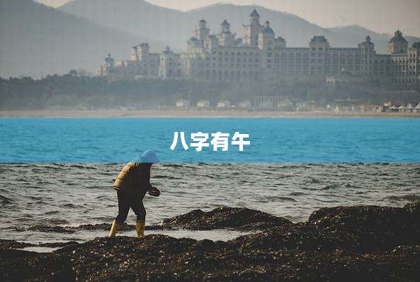 八字有午
