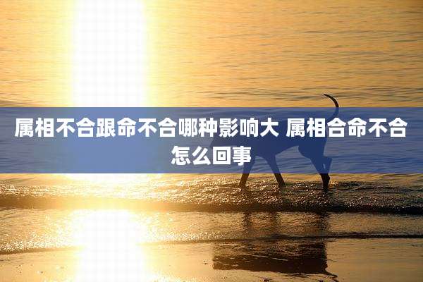 属相不合跟命不合哪种影响大 属相合命不合怎么回事