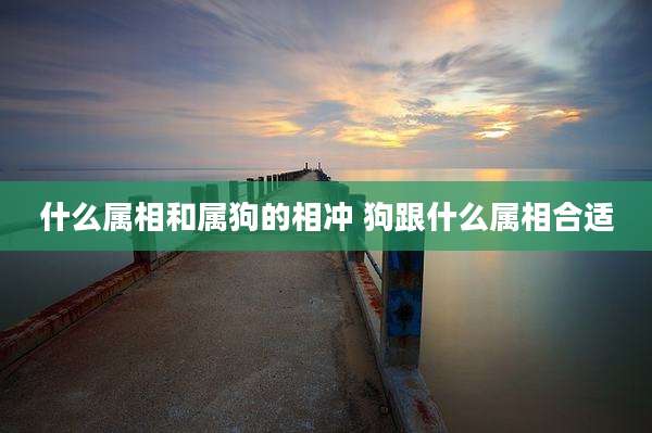 什么属相和属狗的相冲 狗跟什么属相合适