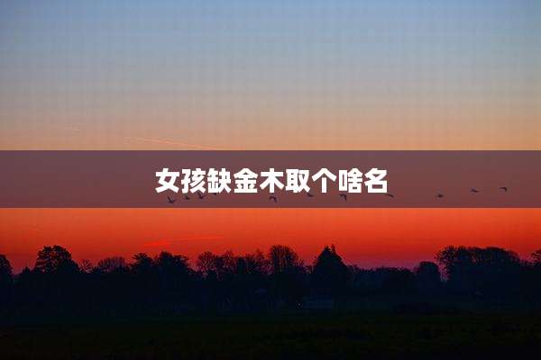 女孩缺金木取个啥名