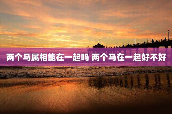 两个马属相能在一起吗 两个马在一起好不好