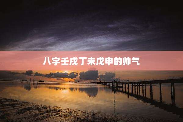 八字壬戌丁未戊申的帅气