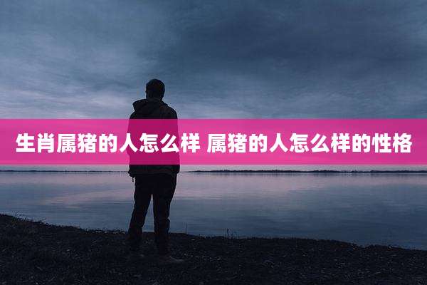 生肖属猪的人怎么样 属猪的人怎么样的性格