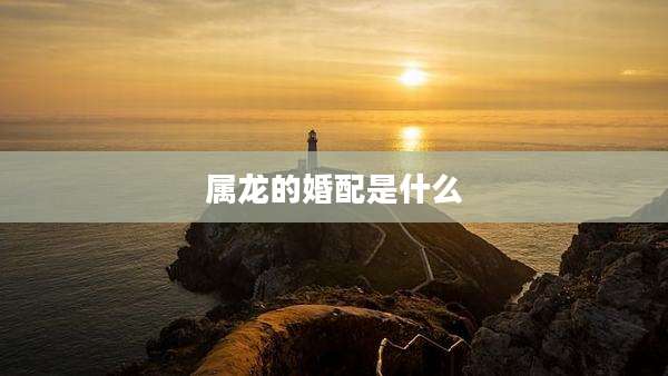 属龙的婚配是什么