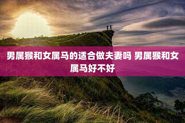 男属猴和女属马的适合做夫妻吗 男属猴和女属马好不好