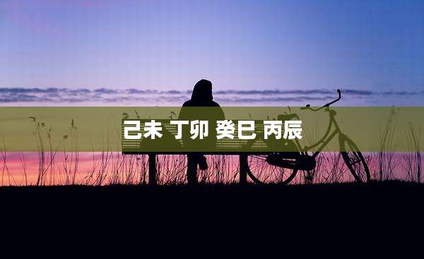 己未 丁卯 癸巳 丙辰
