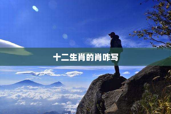 十二生肖的肖咋写